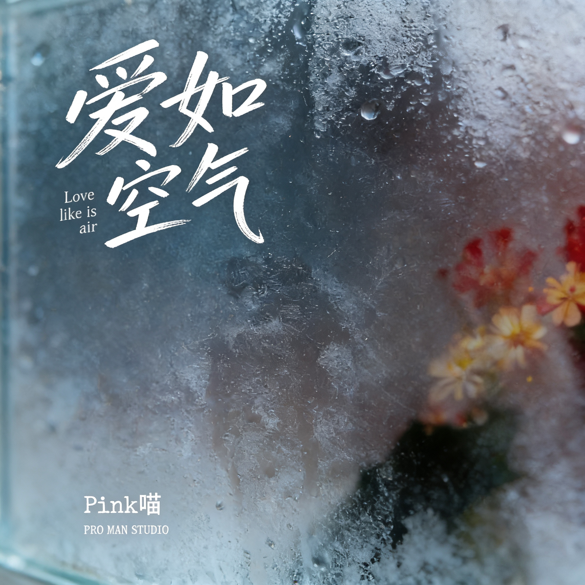 爱如空气（伴奏）封面