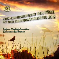 Frühjahrskonzert Der Vögel in Der Abenddämmerung 2012