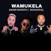 Amani Moneys - Wamukela (feat. Musiholiq)