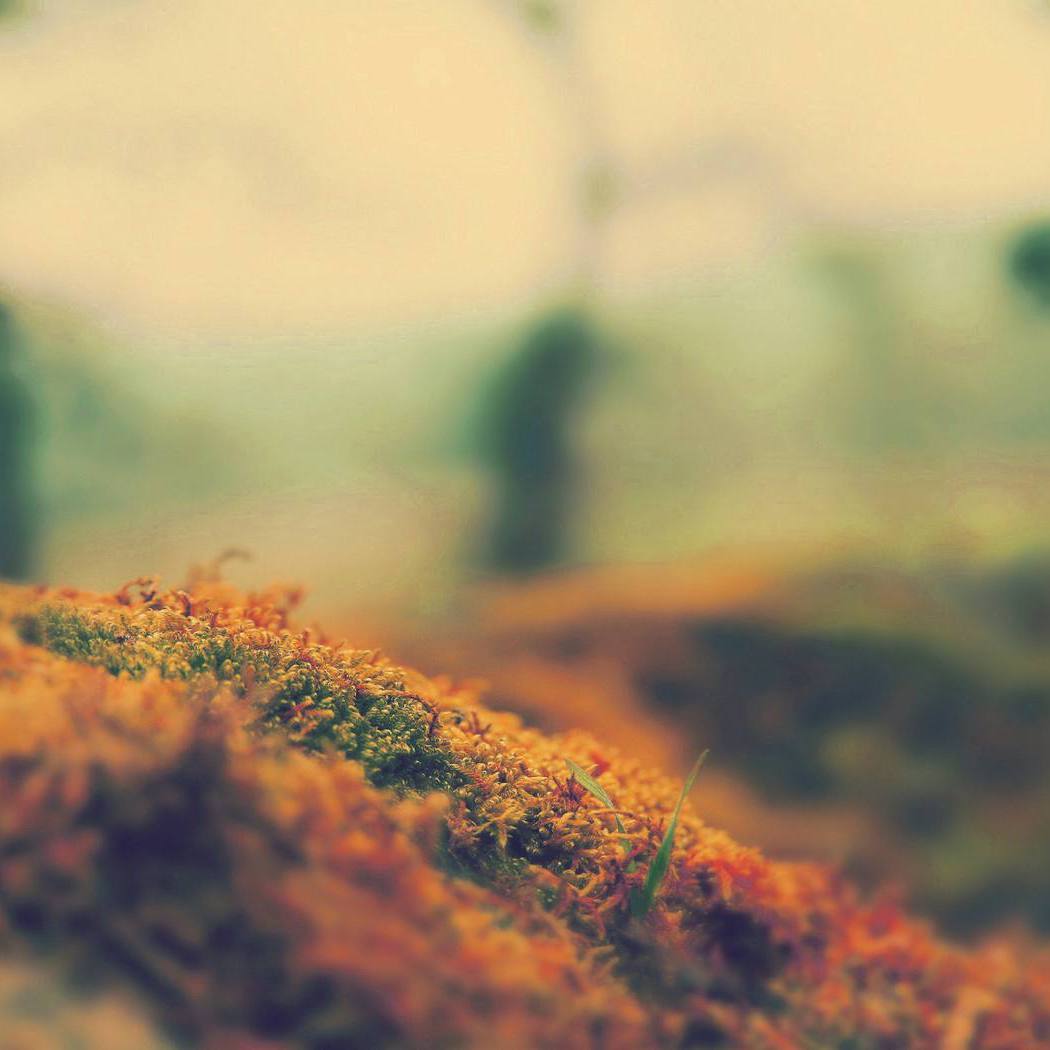 Ridiculous comprehension