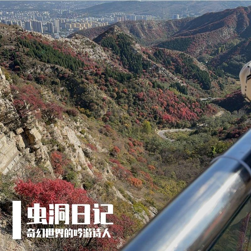 电光闪耀封面