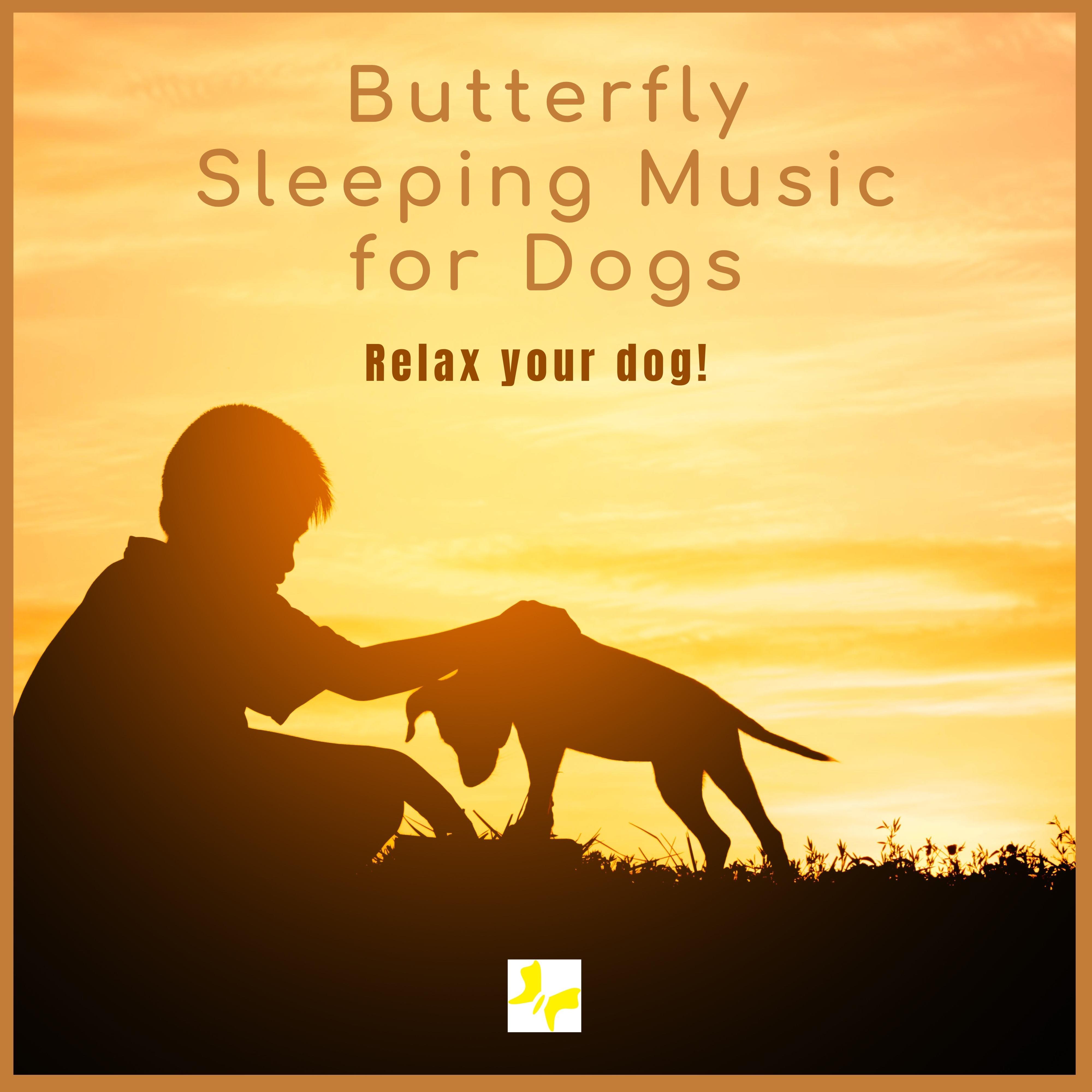 Calming Jazz for Dogs