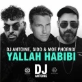 Yallah Habibi (DJ Antoine & Mad Mark 2k18 German Mix|Explicit)
