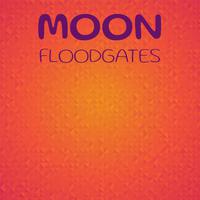 Moon Floodgates