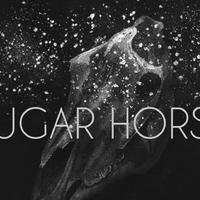 Sugar Horse