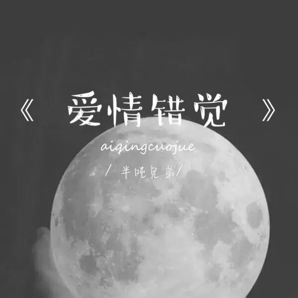 爱情错觉 (DJ版) - 半吨兄弟封面