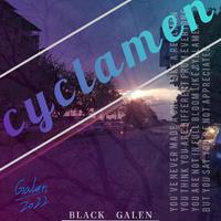 cyclamen