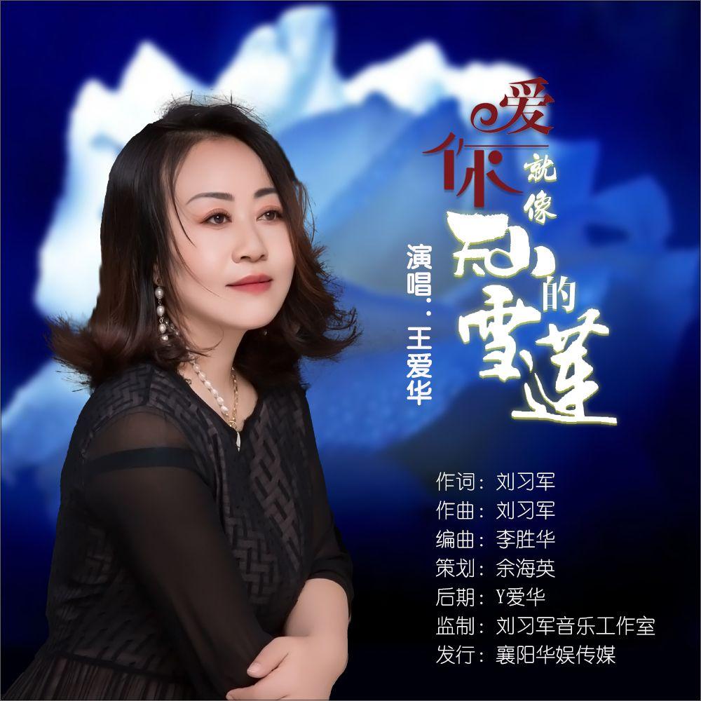 爱你像天山的雪莲 (DJ版) - 王爱华封面