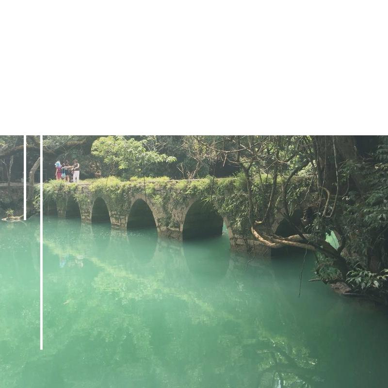 原谅自己 - 姜绍明封面