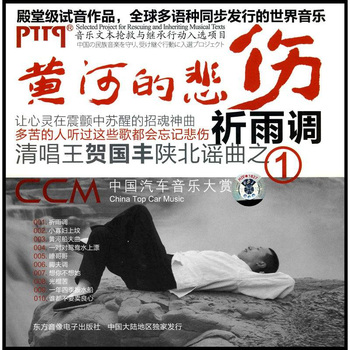 一对对鸳鸯水上漂封面