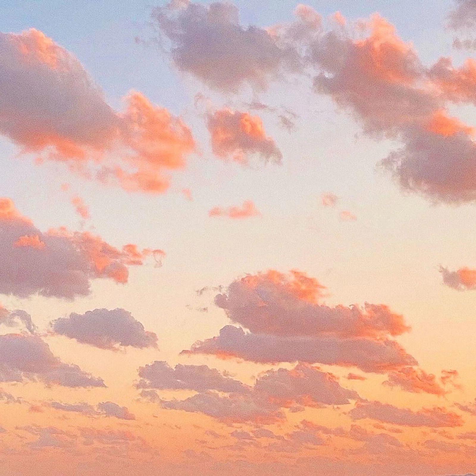 MOM（翻自 你的二智bb）