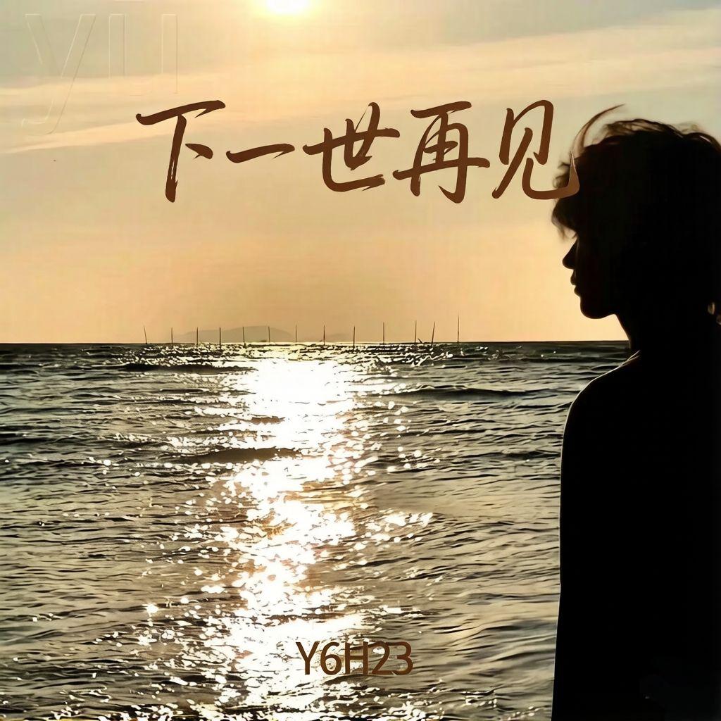下一世再见封面