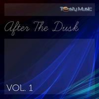 After the Dusk, Vol. 1