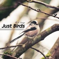 Just Birds