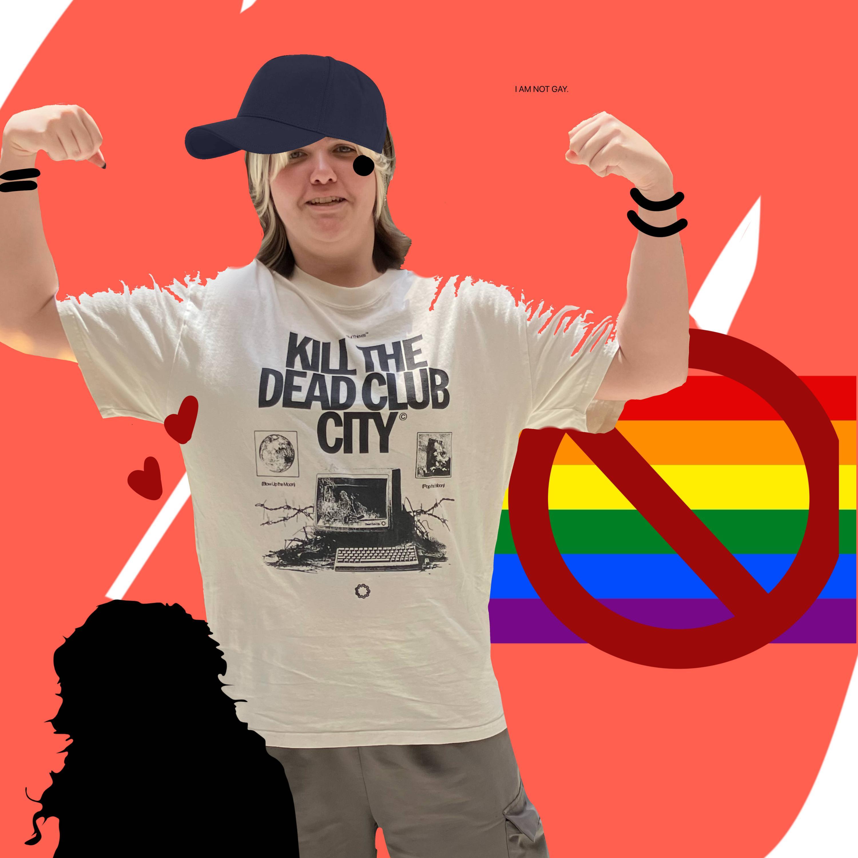 i am not gay封面