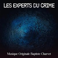 Les Experts du Crime (Original Motion Picture Soundtrack)