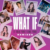 What If (I Told You I Like You) (Remixes)