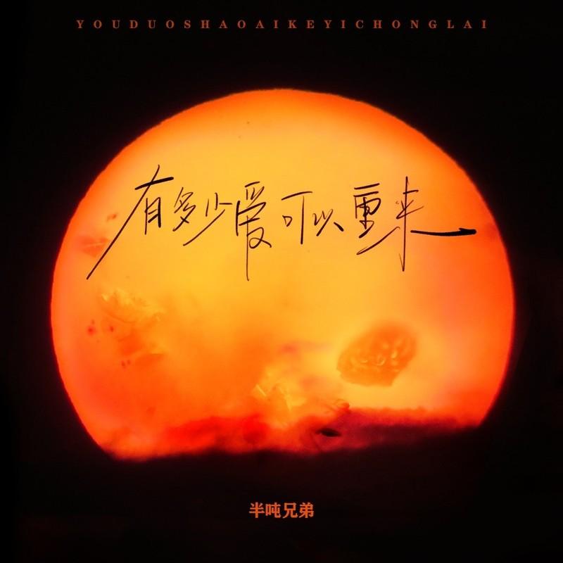 有多少爱可以重来DJ豪大大版 - 半吨兄弟封面