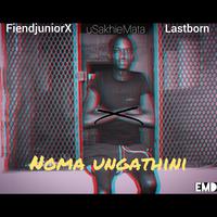 Noma Ungathini (feat. FiendjuniorX, Lastborn & uSakhieMata)