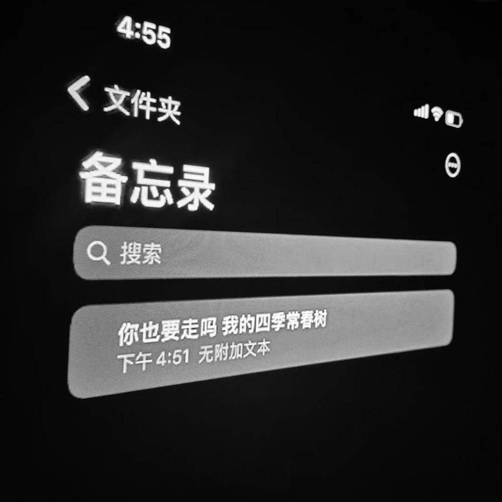 两个我们(0.8x降调)封面