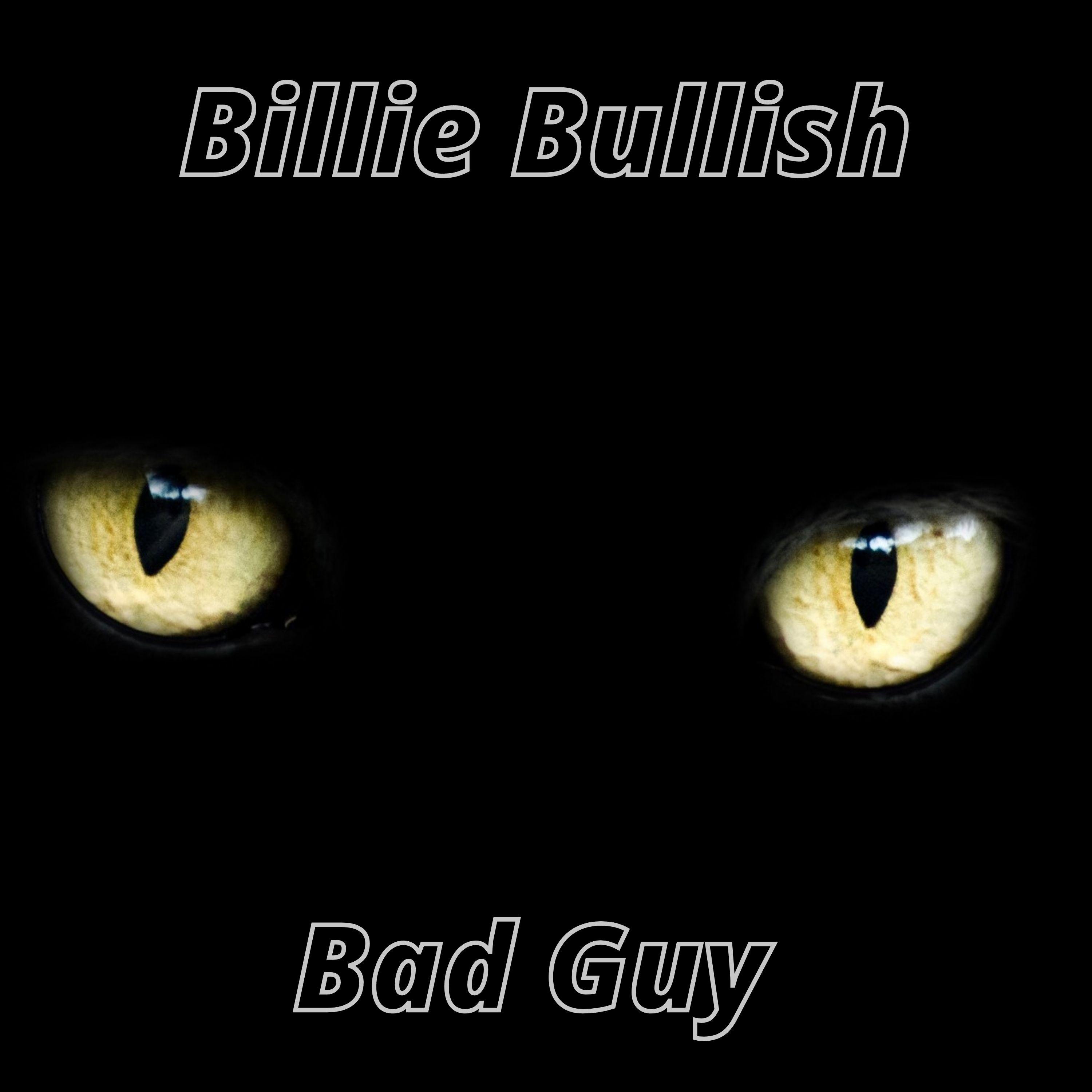 Bad Guy (Instrumental) - Billie Bullish封面