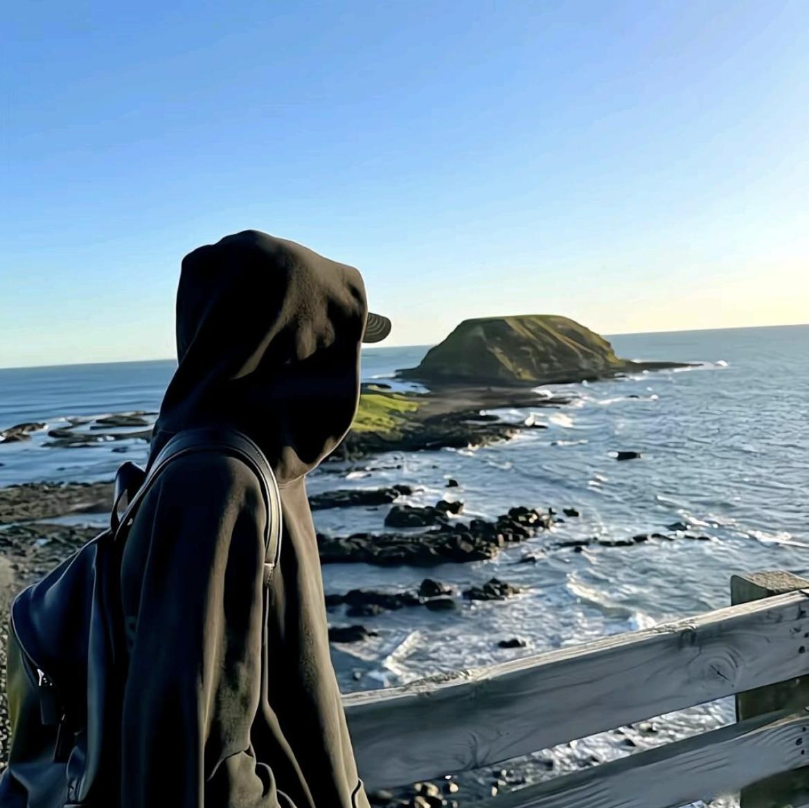 官方回答了她的废话