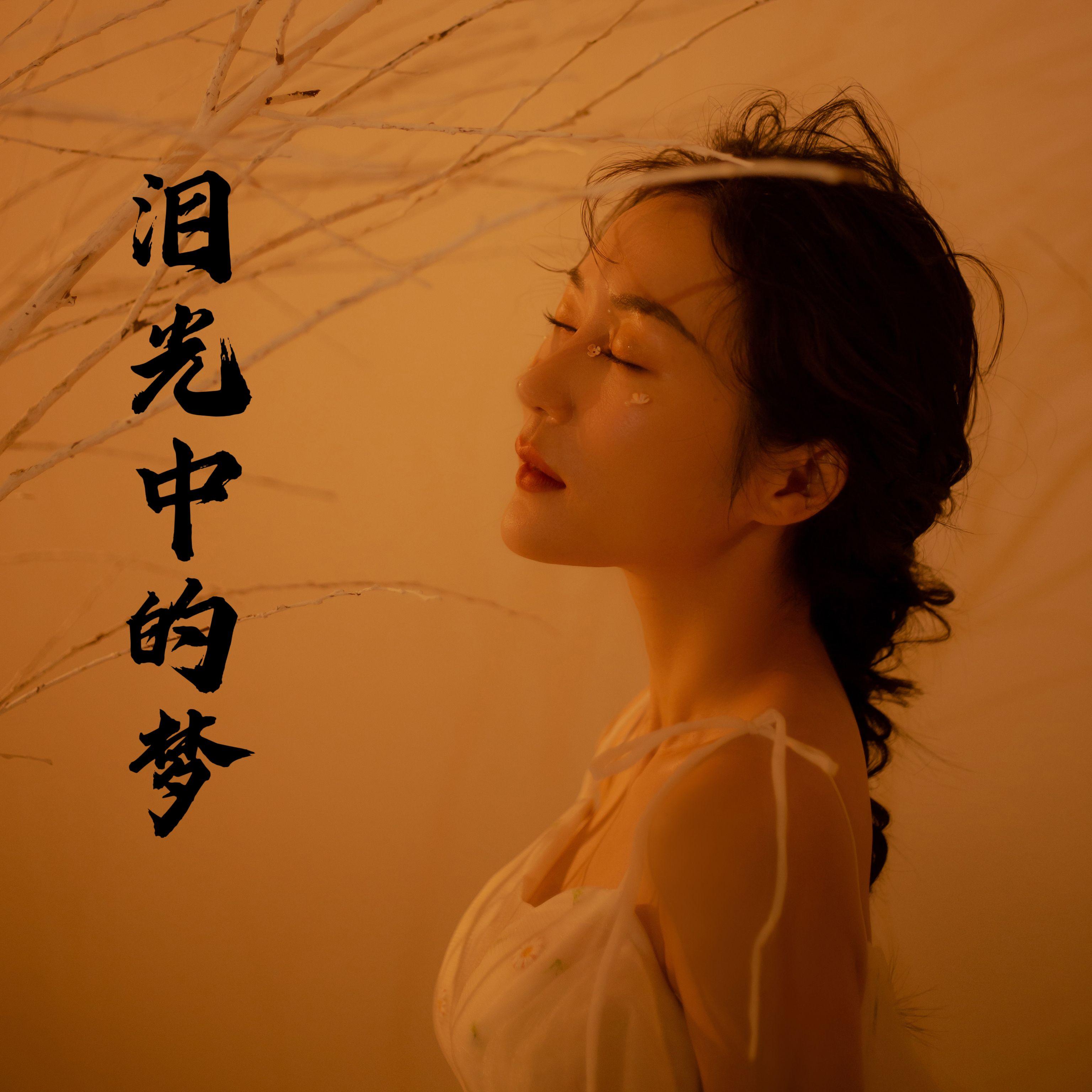 泪光中的梦封面