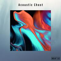 Acoustic Chost Beat 22