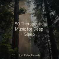 50 Therapeutic Music for Deep Sleep