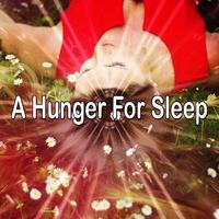 A Hunger For Sleep