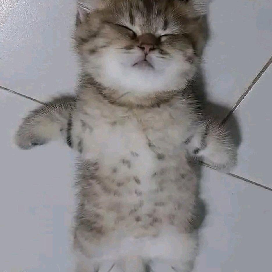 特内里费不太冷