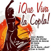 ¡Que Viva la Copla!