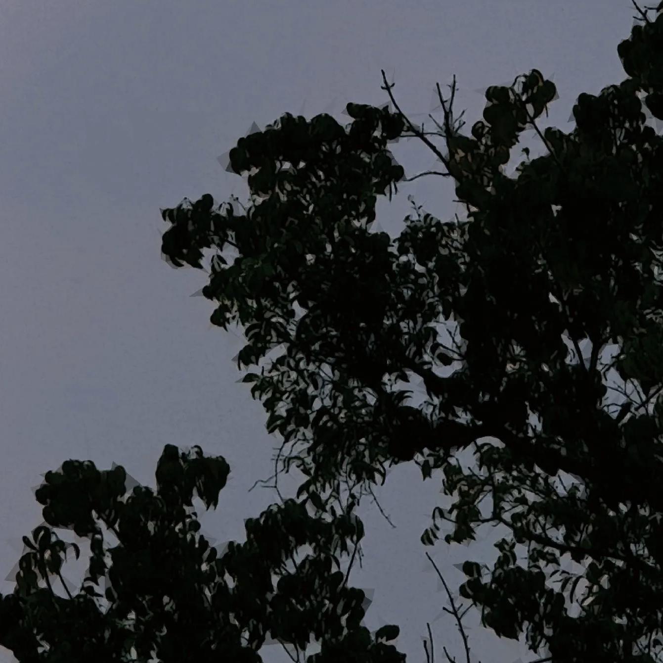 Kalmidi Yar《最新版》