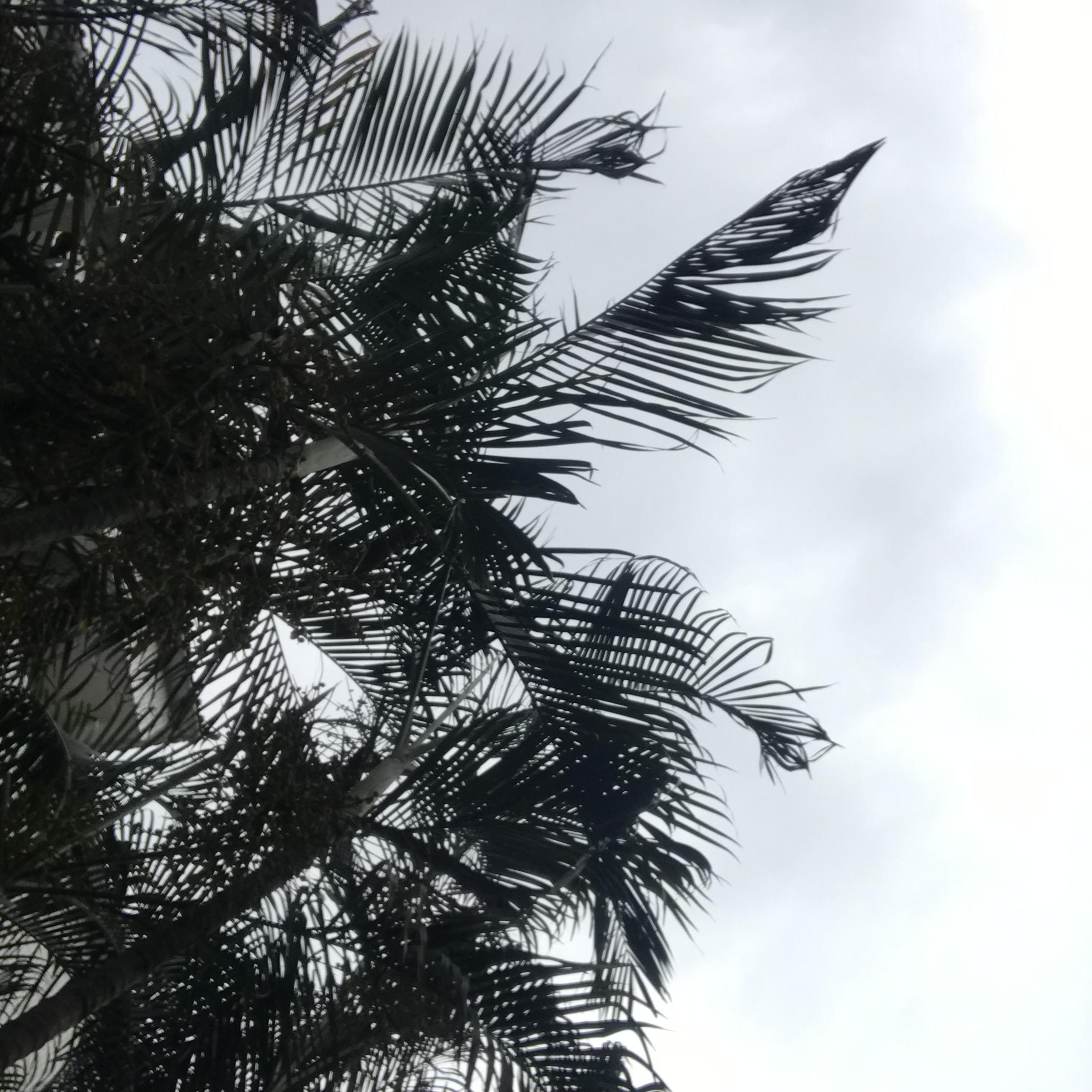 即兴封面