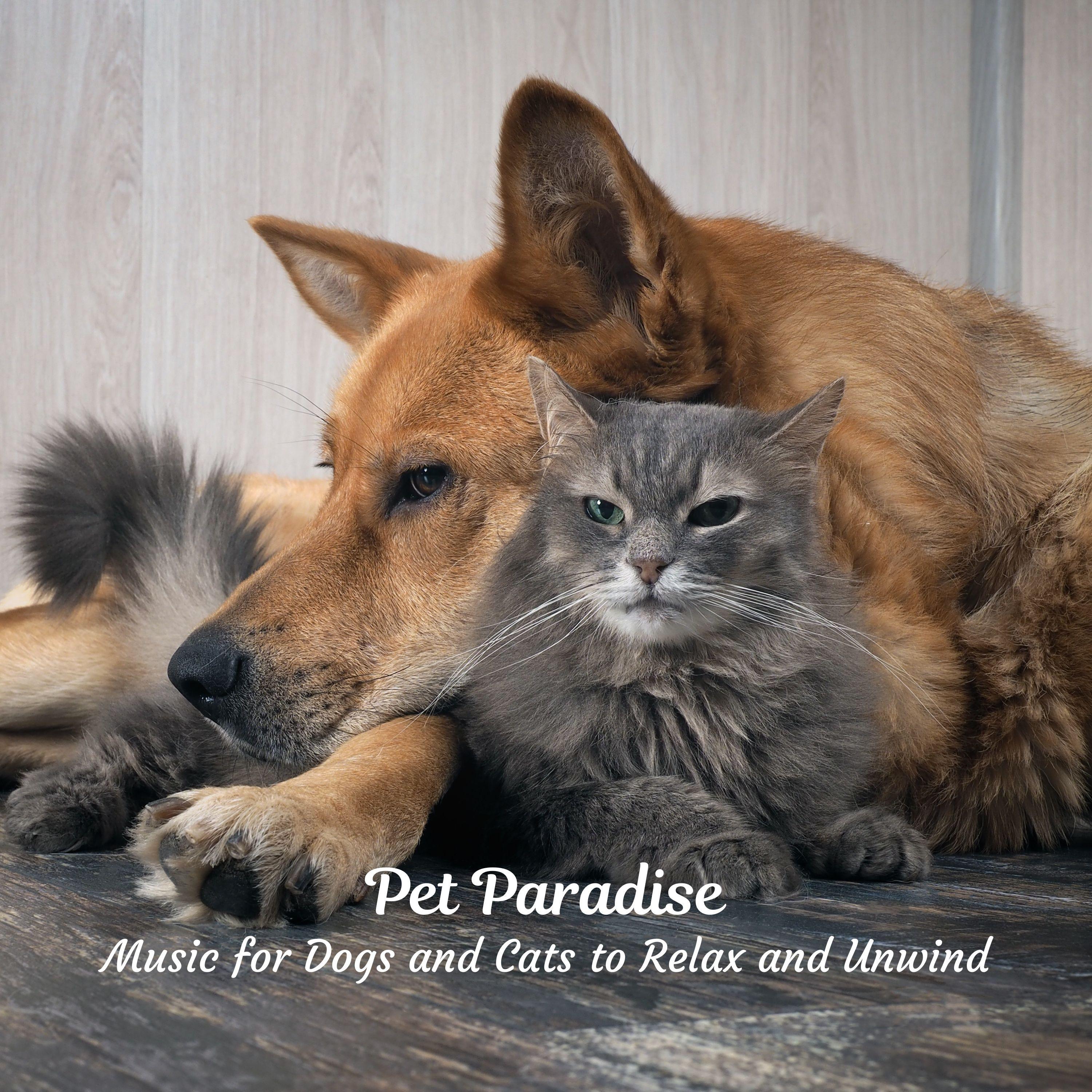 Tranquil Tracks for Tails