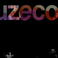 Luzecor