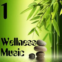 Wellness Music, Vol. 1