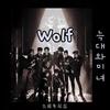 羽宝YBAEK - Wolf(狼与美女）
