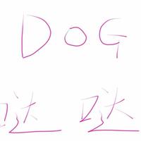 DOG哒哒