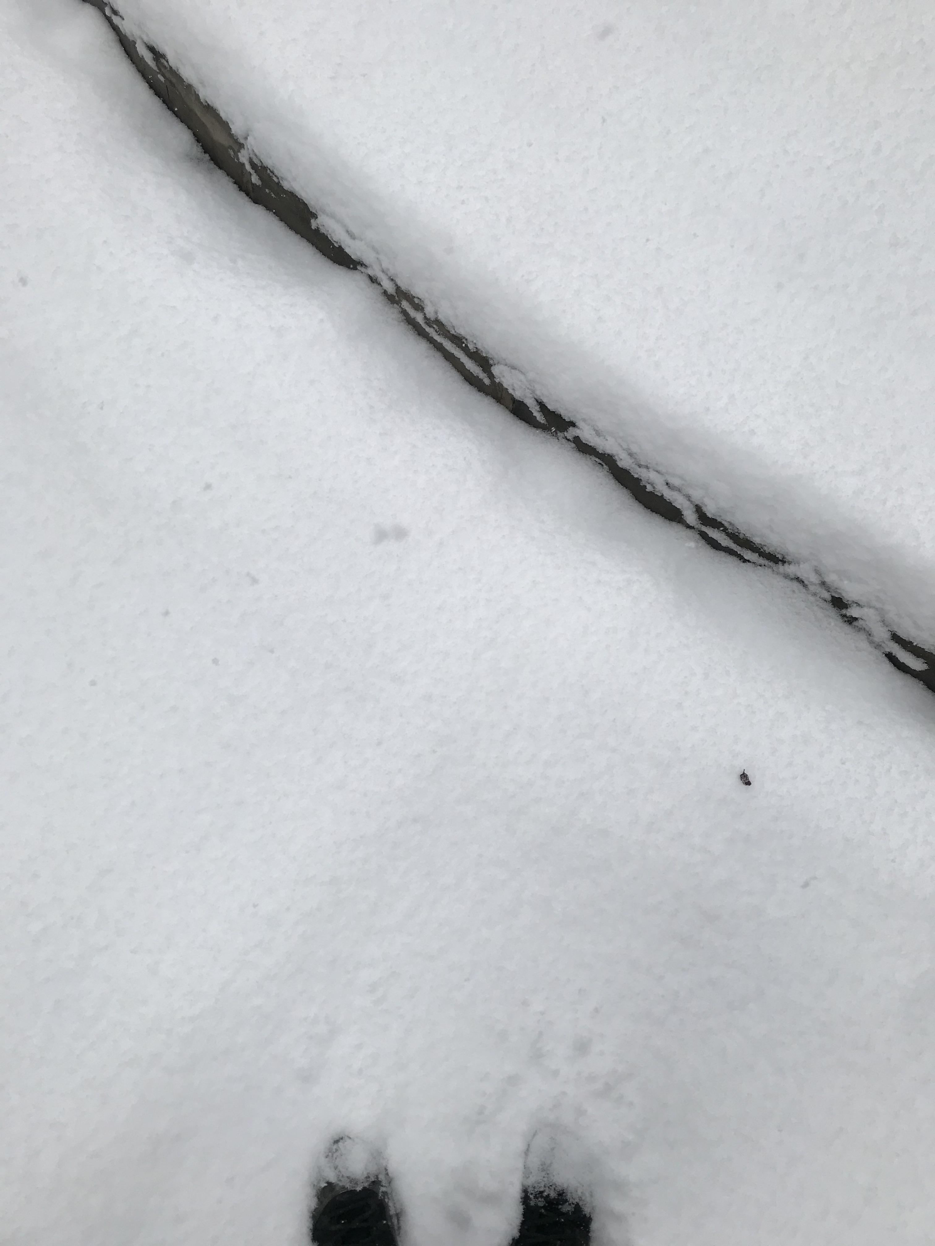 sorry for[Prod. lazy]