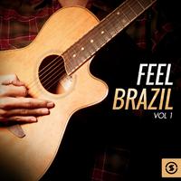 Feel Brazil, Vol. 1