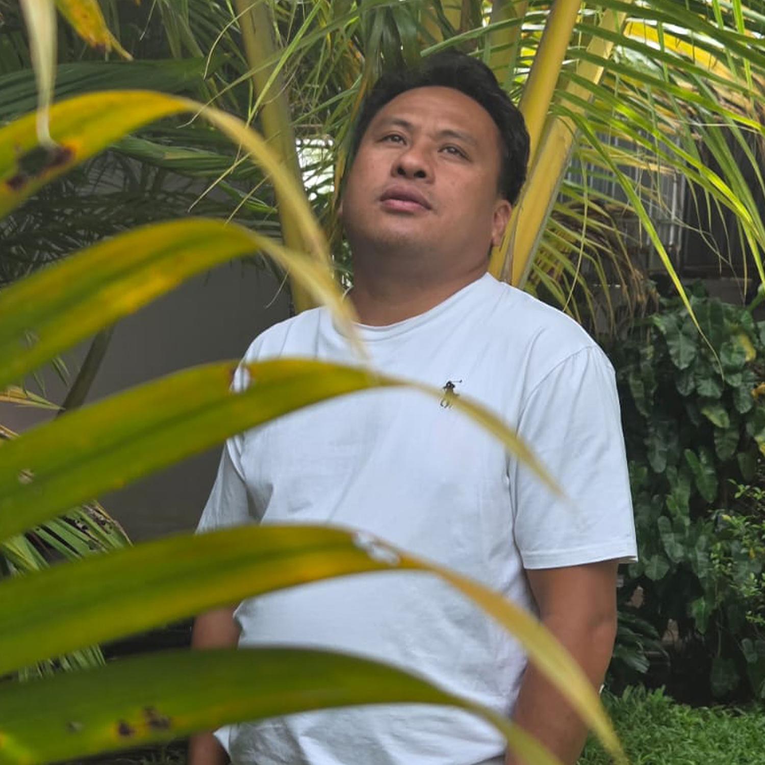 Chim Muam Siab Daim Ib