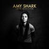Amy Shark - The Slow Song