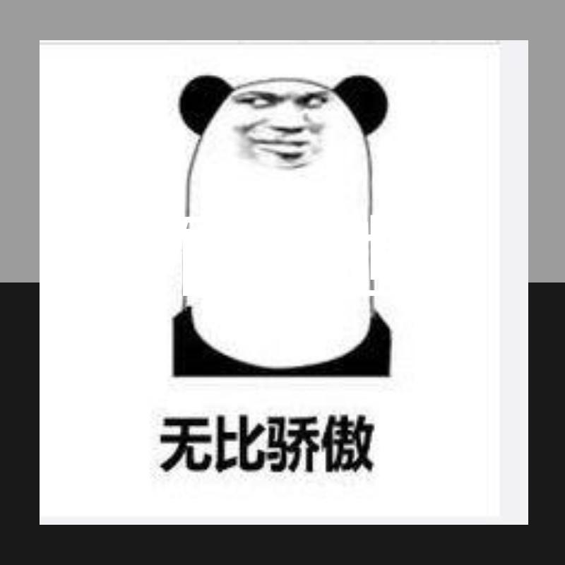 不如他封面
