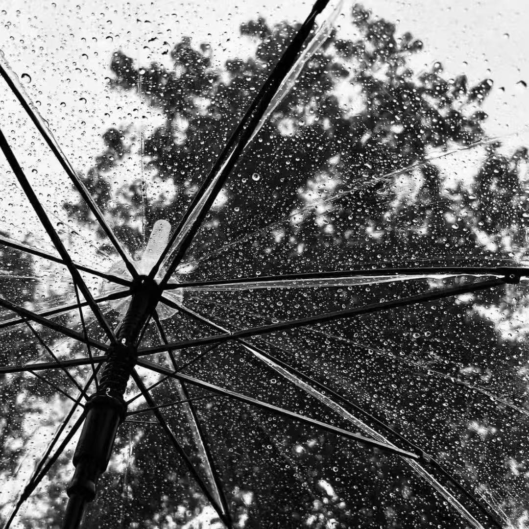 就三四步（prod by noisy.)