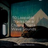 50 Loopable Tracks for a Chakra Theta Wave Sounds