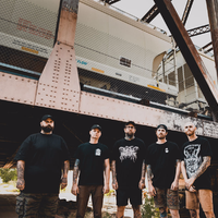 The Acacia Strain