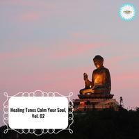 Healing Tunes Calm Your Soul, Vol. 02