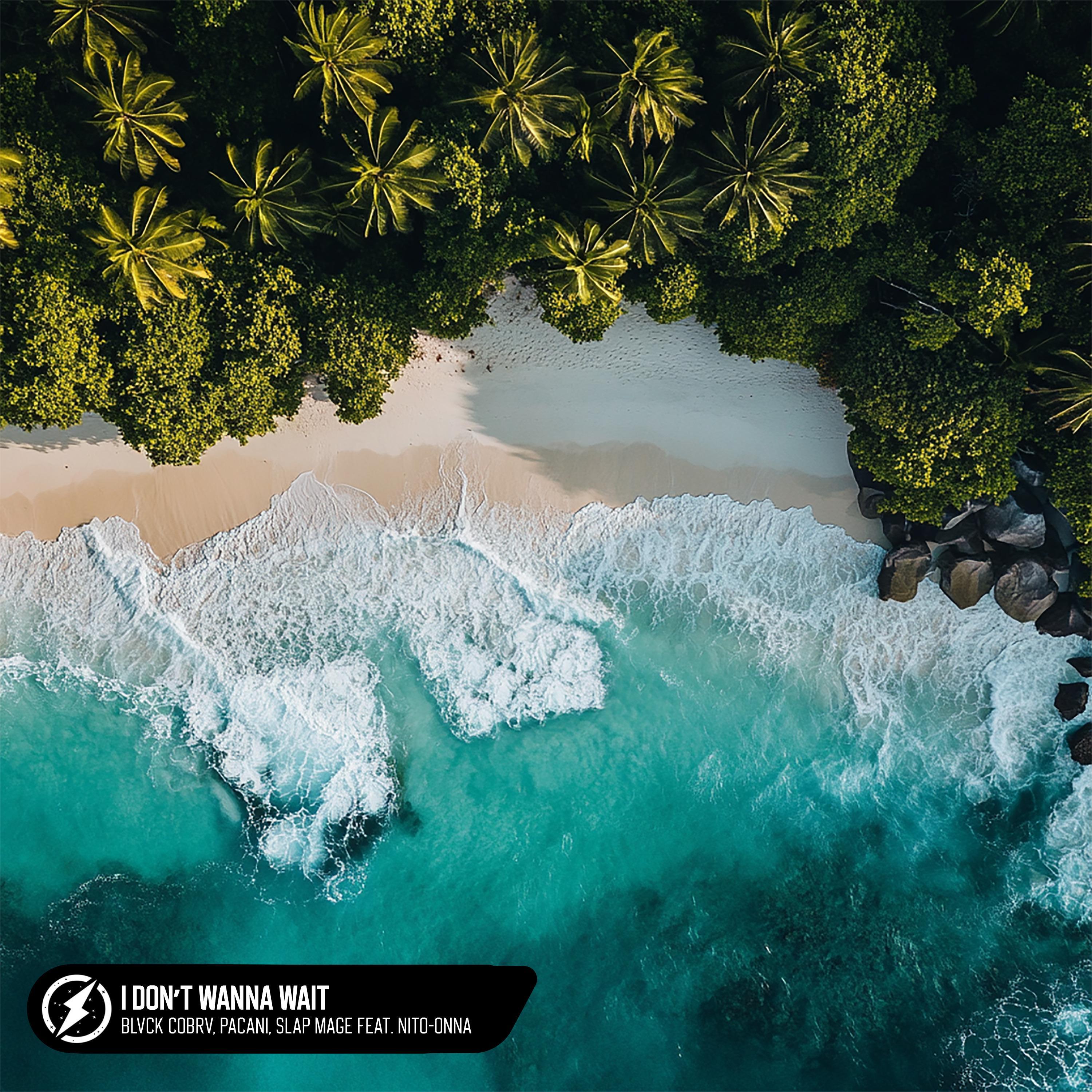I Don’t Wanna Wait (feat. Nito-Onna)