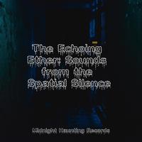 The Echoing Ether: Sounds from the Spatial Silence